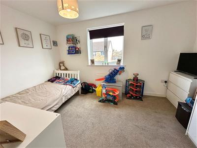 Picture 12